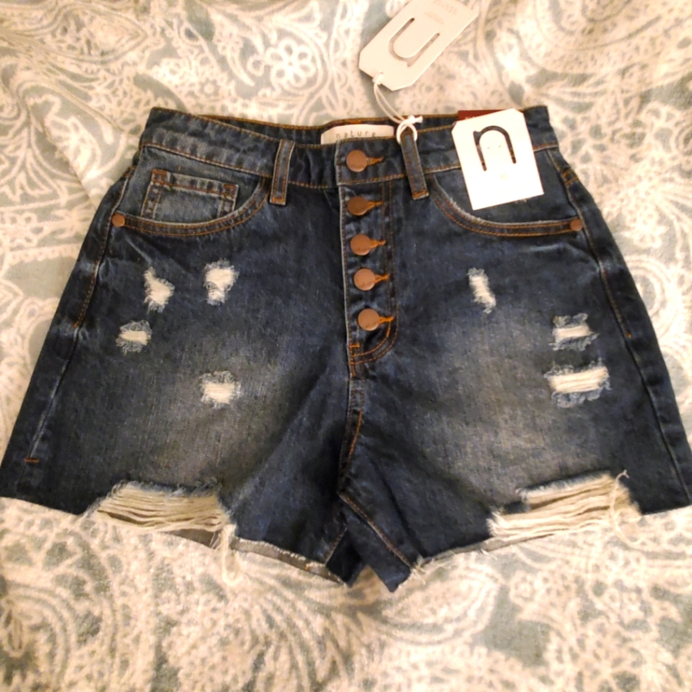 Fashion Nova Jean Shorts